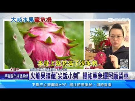 火龍果刺到|把 (紅)火龍果的針剌去除掉，會影響其生長或結果嗎？